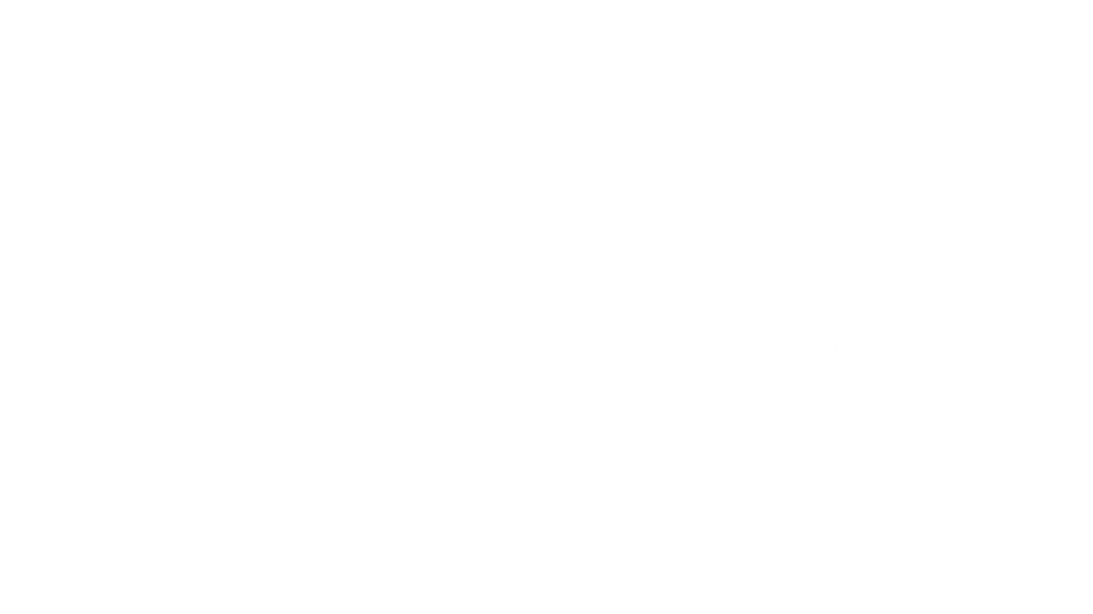 LOGO v2